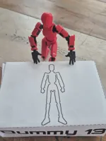 50% dummy 13