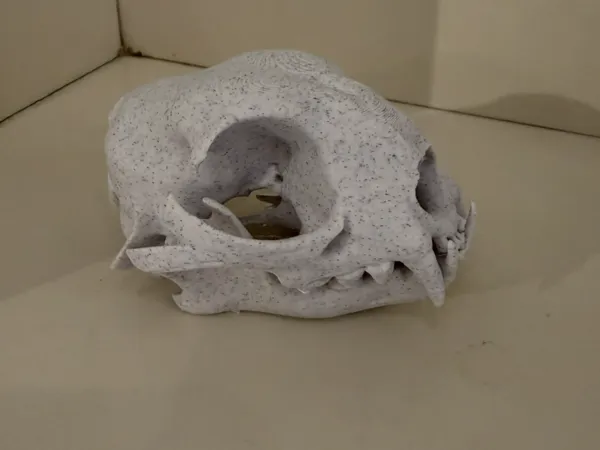 https://makerworld.bblmw.com/makerworld/model/US47451d7f2bc751/design/fc20057412d344fb.jpeg