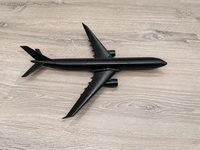 A330-300 Airplane