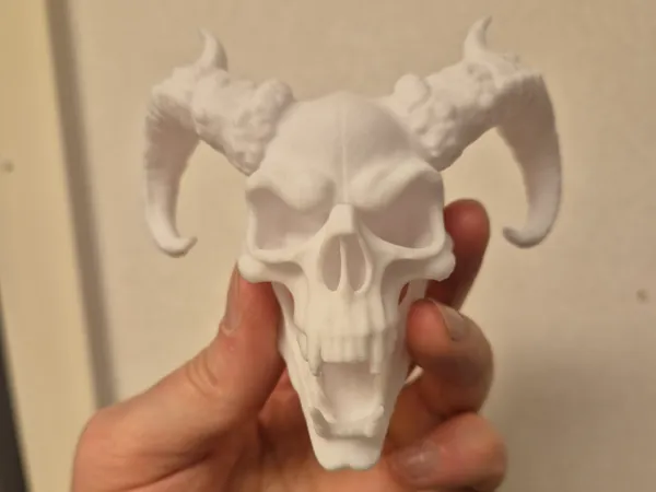 https://makerworld.bblmw.com/makerworld/model/US474d1db1bcb107/design/2025-03-16_f9cc01983557b.jpg