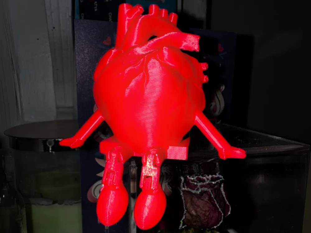 Articulated Anatomical Heart Flexi - Free 3D Print Model - MakerWorld