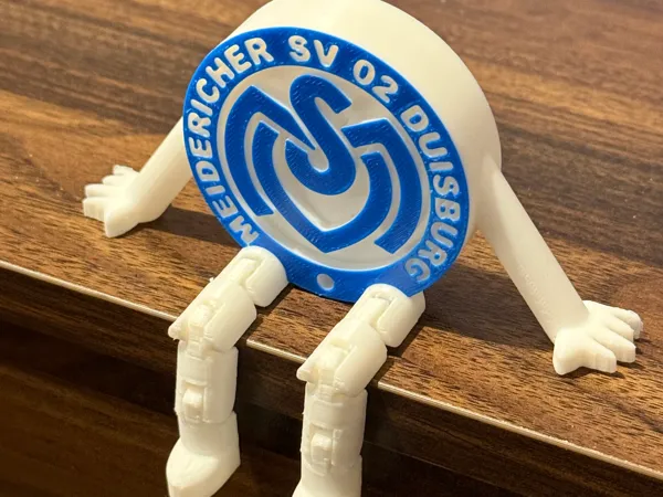 https://makerworld.bblmw.com/makerworld/model/US47535d5914cdfb/design/ab7d0425e66df4b4.jpeg