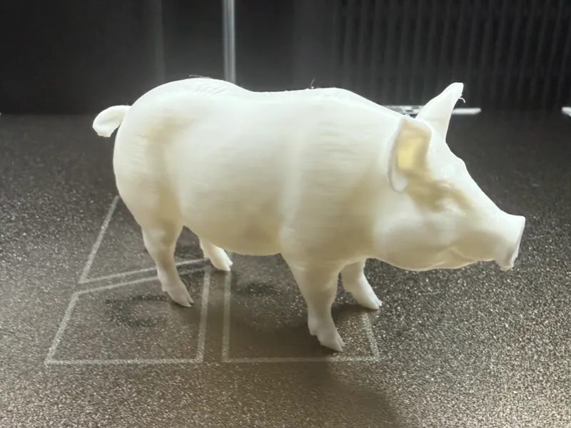 Schwein