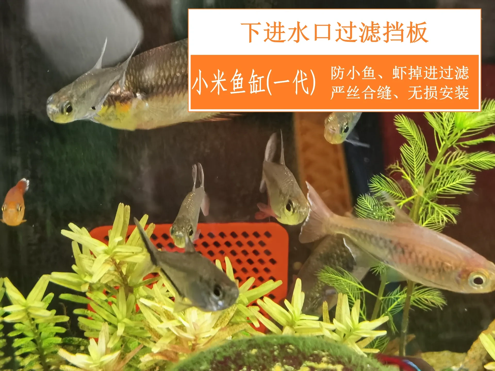 Miniatura 1 do modelo 3D 小米鱼缸(一代)上/下出水口过滤挡板