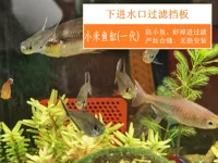下出水口-过滤挡板：0.12mm 层高, 2 层墙, 15% 填充