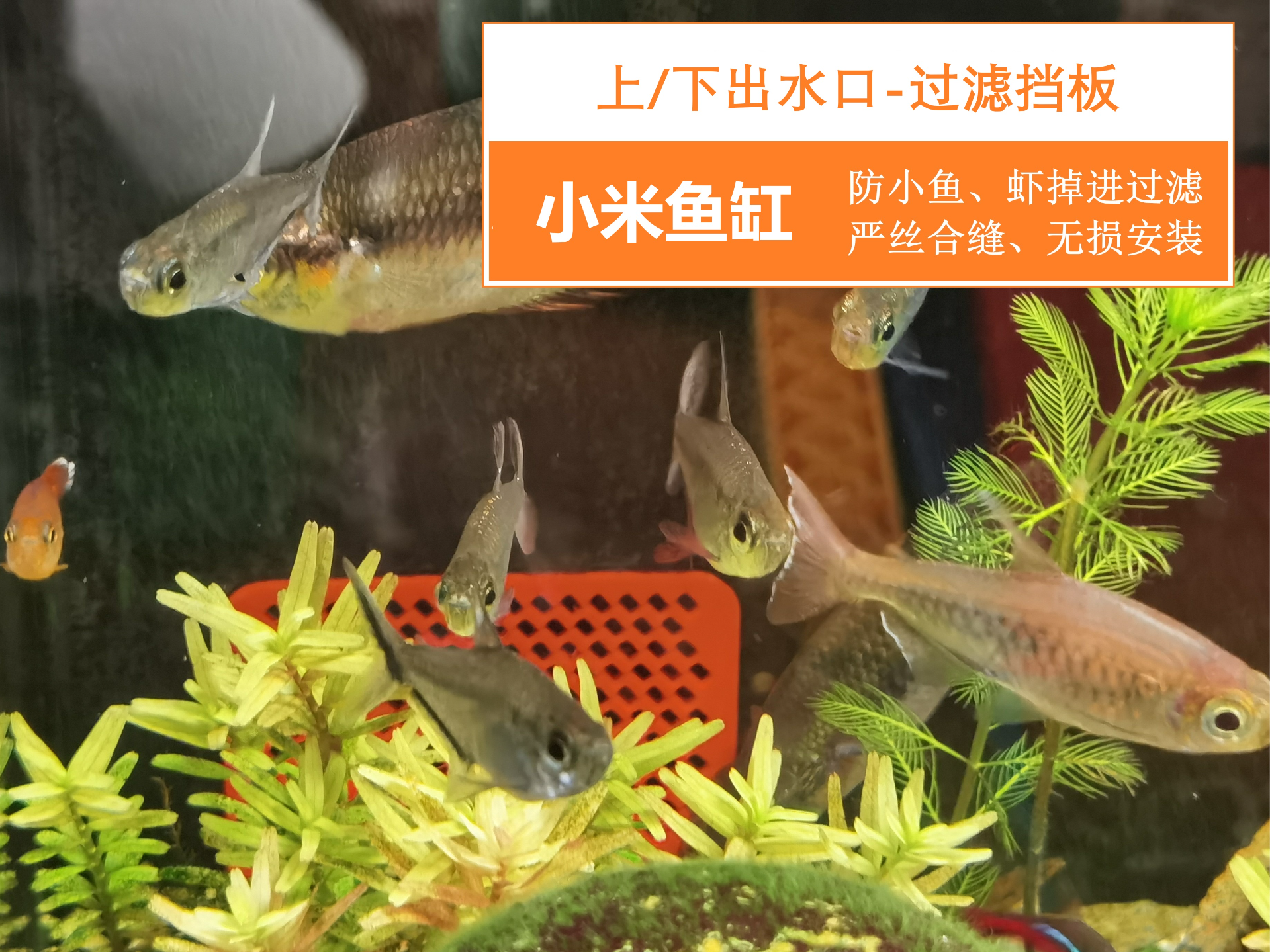 小米鱼缸(一代)上/下出水口过滤挡板