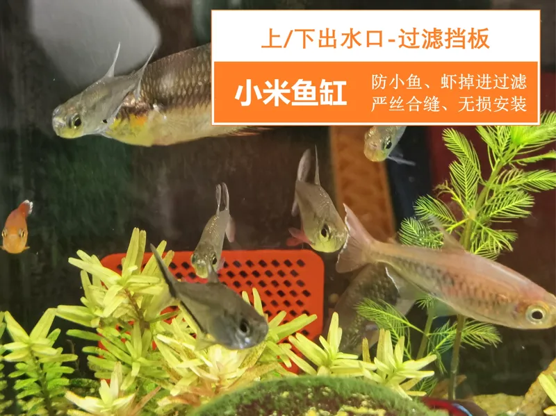 小米鱼缸(一代)上/下出水口过滤挡板