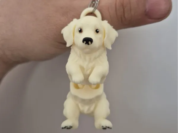 https://makerworld.bblmw.com/makerworld/model/US4756a7d3b7203b/design/2025-08-07_69e5839a1e3ad8.jpg