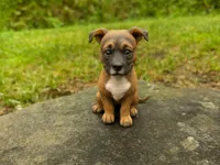 0.16mm layer, 2 walls, 15% infill
