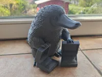 0.2mm layer, 3 walls, 5% infill