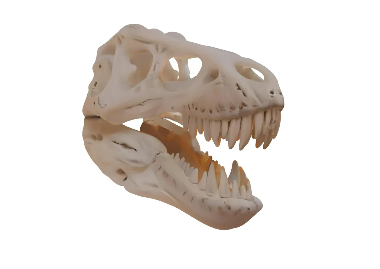 T-Rex Head Skull - Wall Art view 2