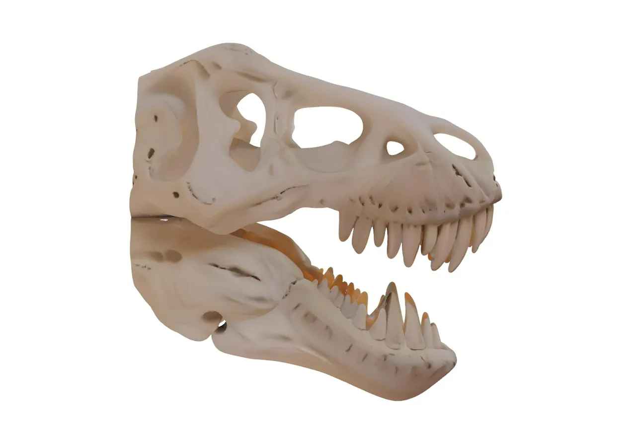 T-Rex Head Skull - Wall Art view 4