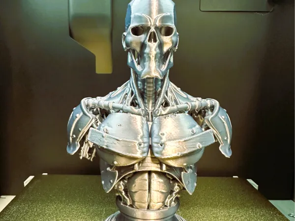 https://makerworld.bblmw.com/makerworld/model/US47660ef17497dc/design/2025-02-15_f90902372f4d4.jpg