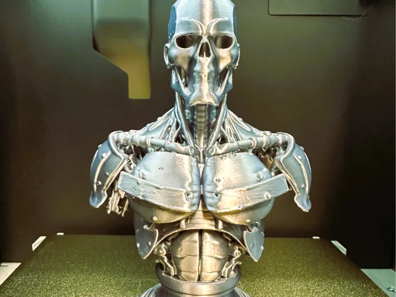 Cyborg Bust