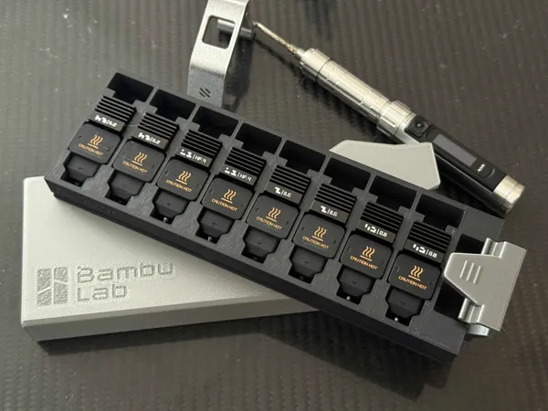 https://makerworld.bblmw.com/makerworld/model/US4766cb64b0cbd/design/2025-06-02_089516e6298c1.jpg