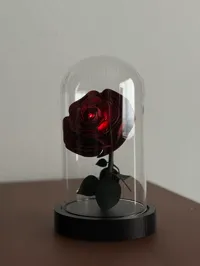 Rose de la Bête pour sa Belle — photo 2