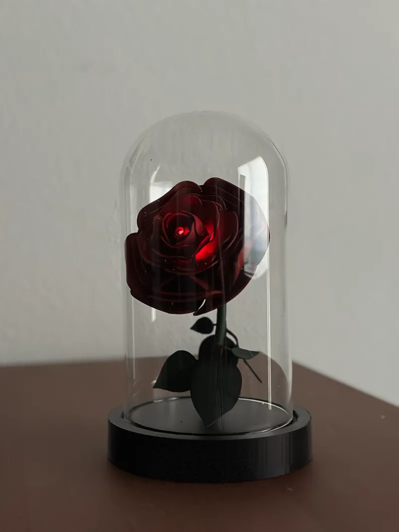 Rose for a Beast to Give a Beauty