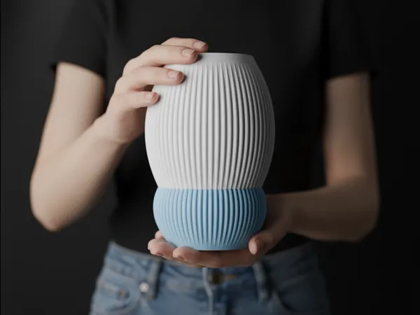 https://makerworld.bblmw.com/makerworld/model/US4769133d938727/design/2026-01-07_cd932949423d3.jpg