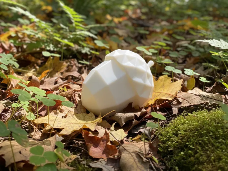 Ghianda Low Poly