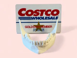 Business Card Holder Mandible