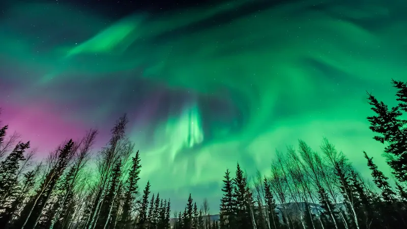 Northern Lights