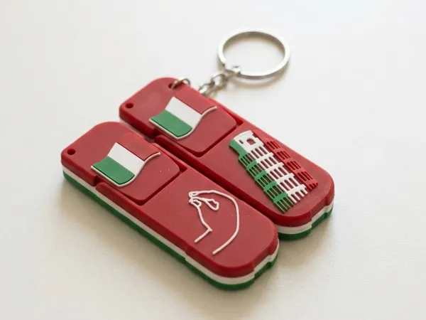 https://makerworld.bblmw.com/makerworld/model/US47783739b93901/design/755db472807ba77c.png