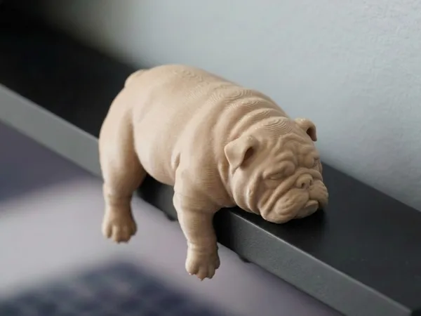 https://makerworld.bblmw.com/makerworld/model/US4782a5dced821e/design/79808d65089f4498.png