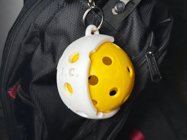 https://makerworld.bblmw.com/makerworld/model/US4782ae48799425/design/308394d301afd8ae.jpeg