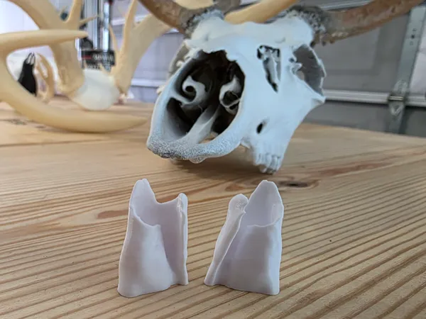 https://makerworld.bblmw.com/makerworld/model/US4782ec39d94a12/design/6125fdfe6b8fd2b3.jpg