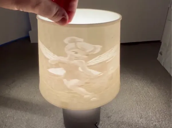 https://makerworld.bblmw.com/makerworld/model/US4788517a8ce89/design/2025-06-18_b73cbb1b78bde8.jpeg