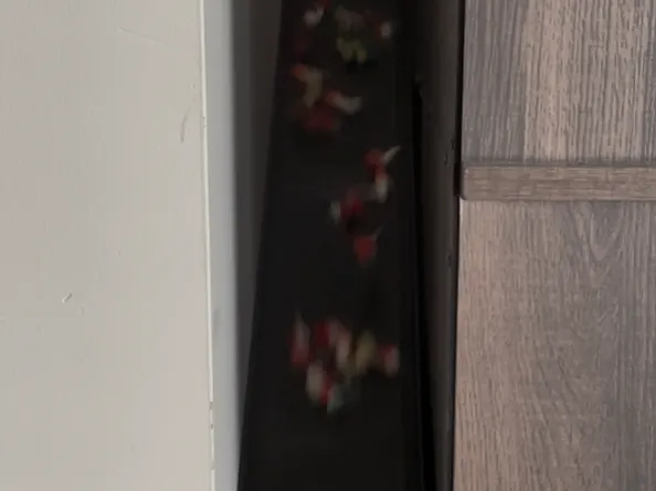 Filament Poop Slide