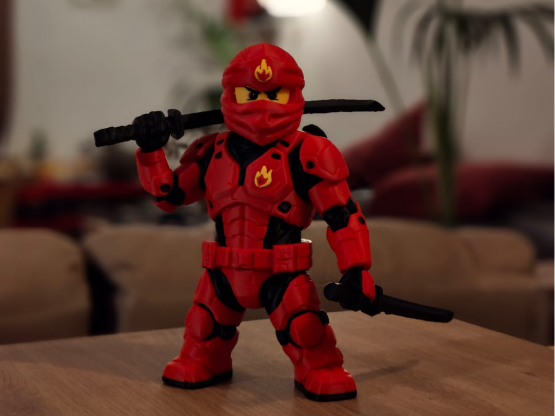 Fire Ninja Warrior
