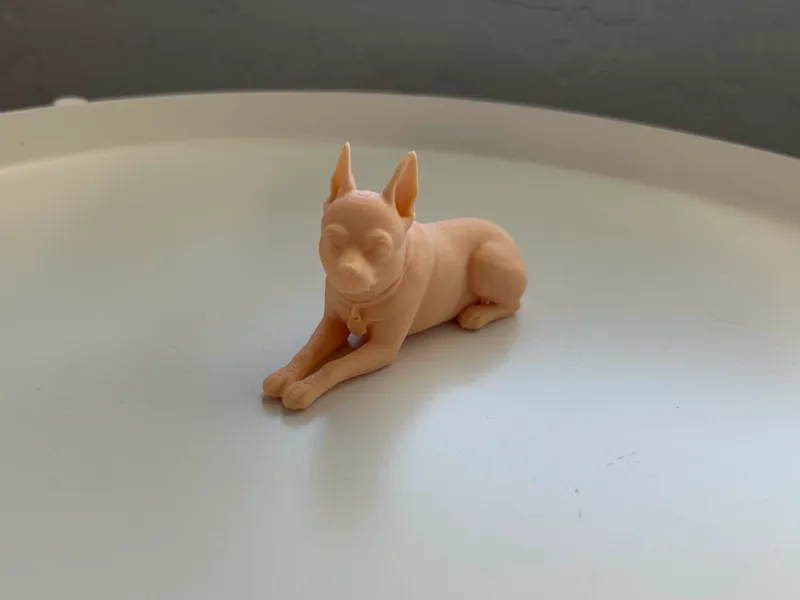 Chihuahua (21g 56min)