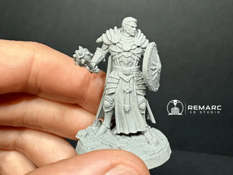 Human Paladin 50mm
