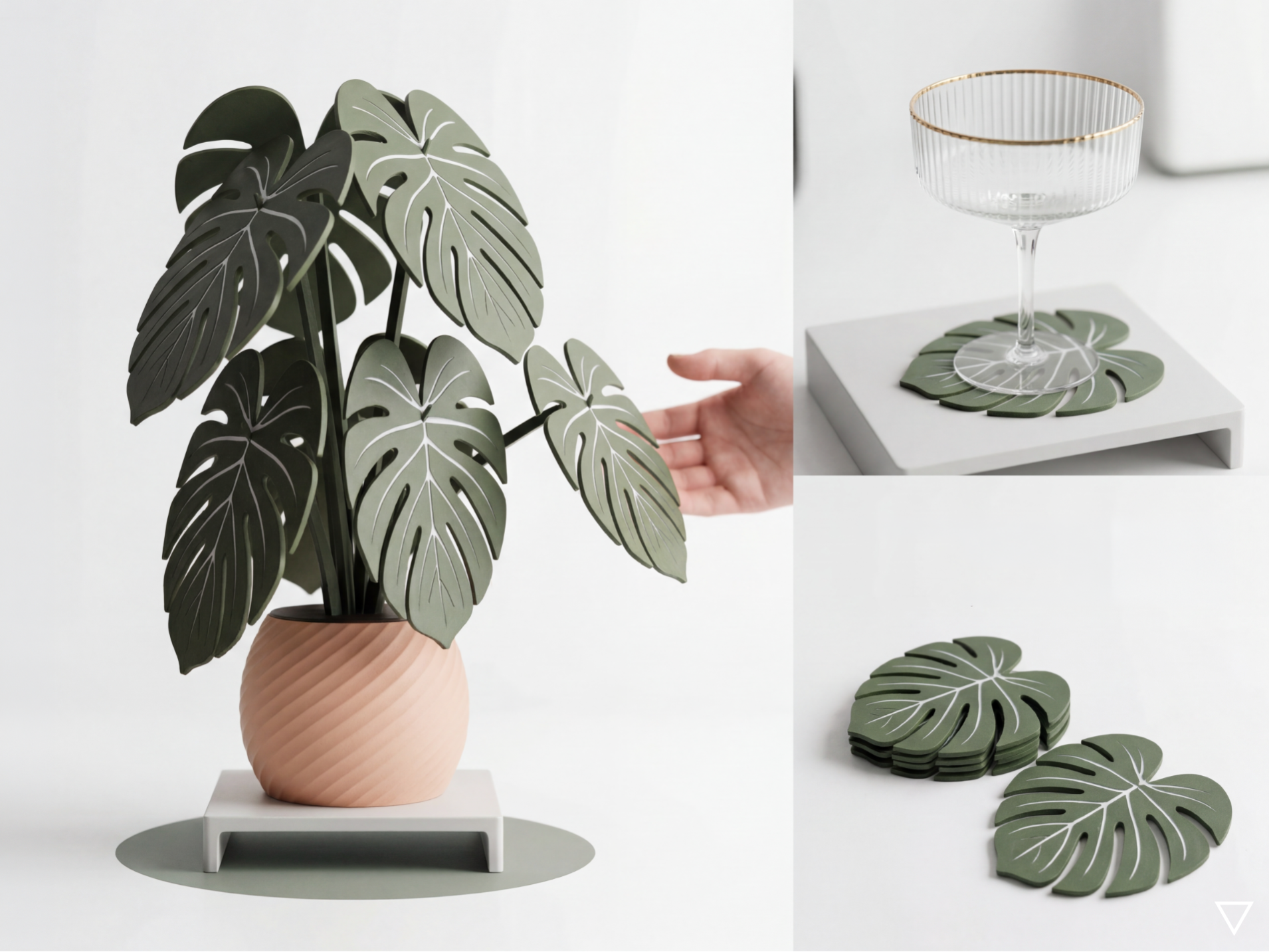 Monstera Coaster
