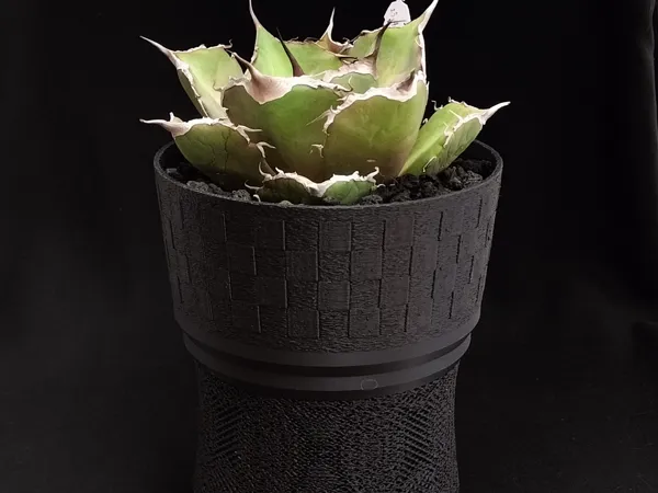 https://makerworld.bblmw.com/makerworld/model/US4797b9e876df39/design/2025-05-02_6b4fd49d4e4b48.jpg