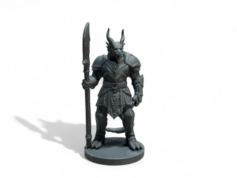 guerriero dragonico dnd