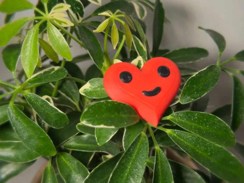 Cute Heart Magnet (NO AMS)