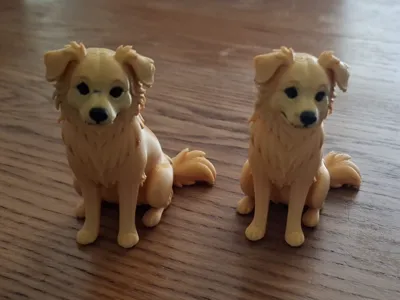 Nova Scotia Duck Tolling Retriever