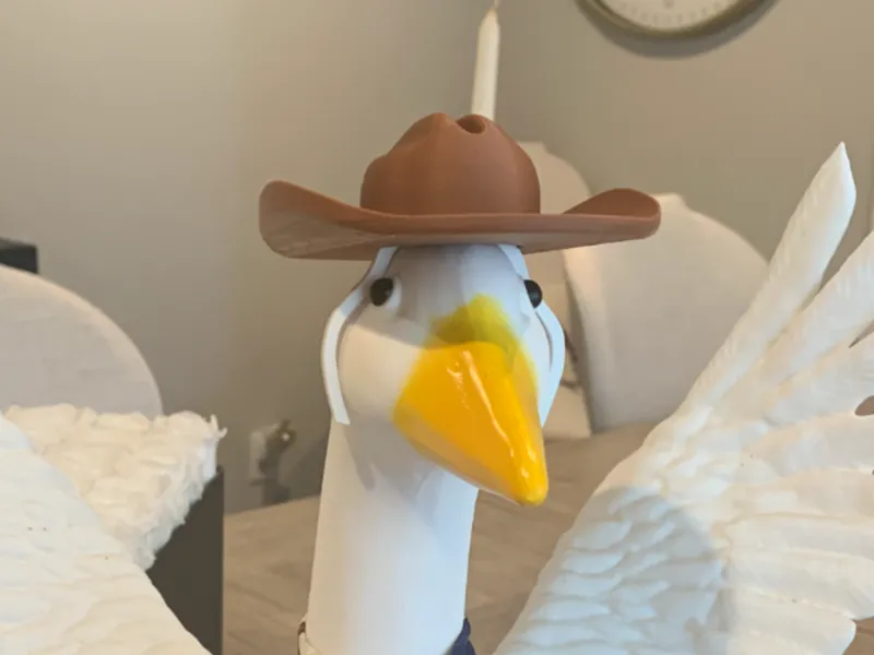 Porch Goose Cowboy Hat