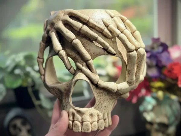 https://makerworld.bblmw.com/makerworld/model/US47b2f16bf07c39/design/2025-09-15_0c109d3efe39b.jpg