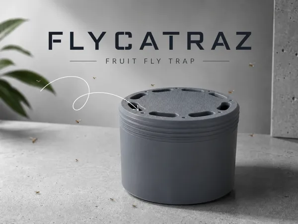 https://makerworld.bblmw.com/makerworld/model/US47b4a67690c857/design/8859ac270089dfaa.png