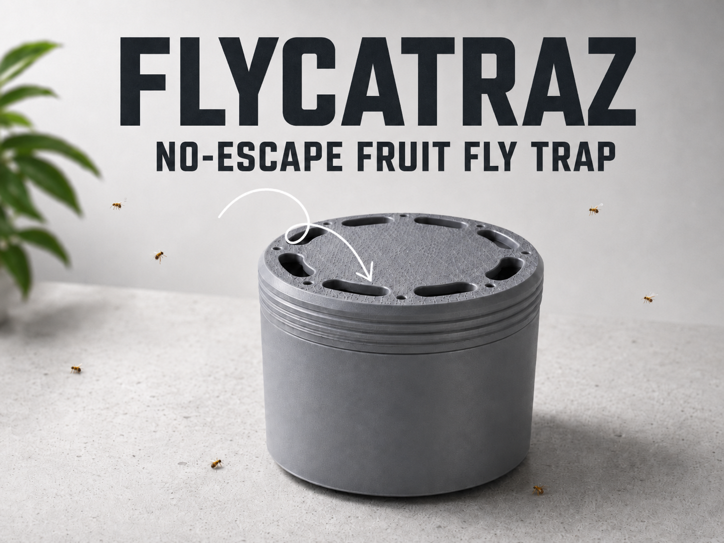 FLYCATRAZ - Die ausbruchsichere Fruchtfliegenfalle