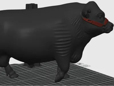 Old Angus Bull