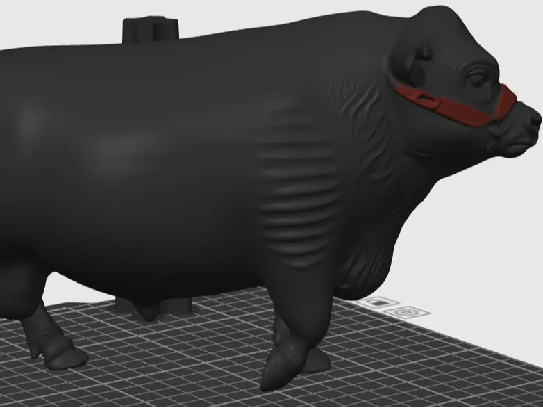 Old Angus Bull