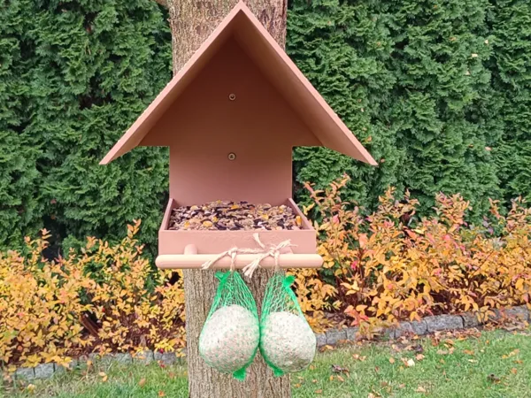 https://makerworld.bblmw.com/makerworld/model/US47b5b70a2b53ba/design/2025-11-09_03d54bb4a505f.jpg