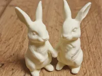 0.16mm layer, 2 walls, 15% infill