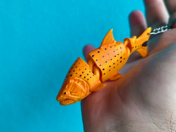https://makerworld.bblmw.com/makerworld/model/US47b965c1fb5bd9/design/4ff98335e762fd34.jpg