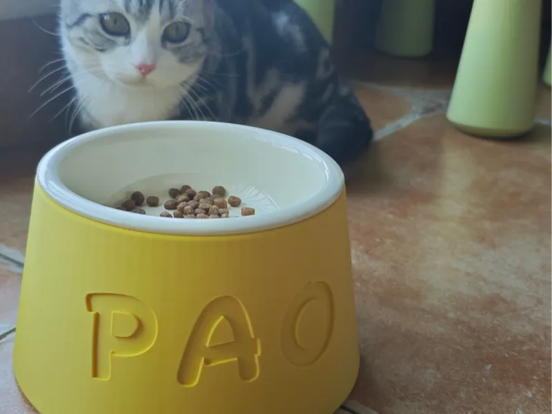 圆形通用猫碗支架