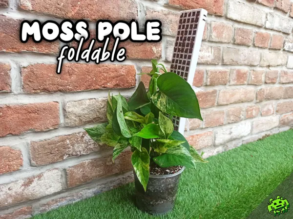 https://makerworld.bblmw.com/makerworld/model/US47bf3b5e1b8b01/design/2025-08-06_c6b384ee89c5f8.jpg